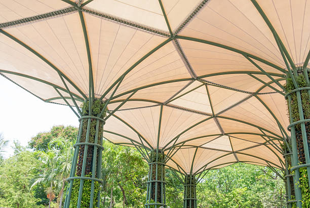 istock Inside of fabric roof structure stadium with plant 533845652
