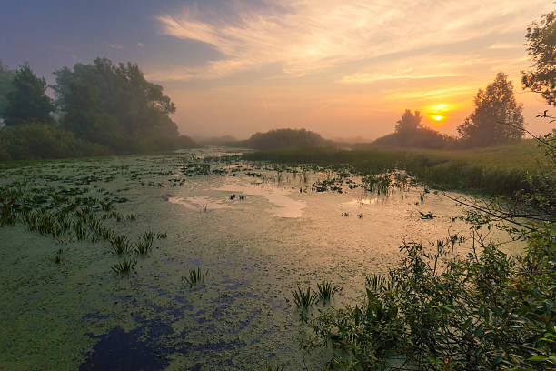 istock Landscape, sunny dawn, sunrays in fog 533846171
