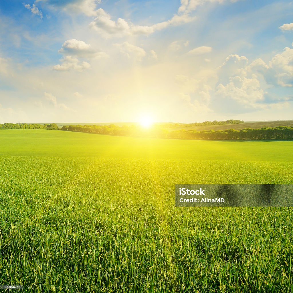 field, sunrise and  sky field, sunrise and blue sky 2015 Stock Photo