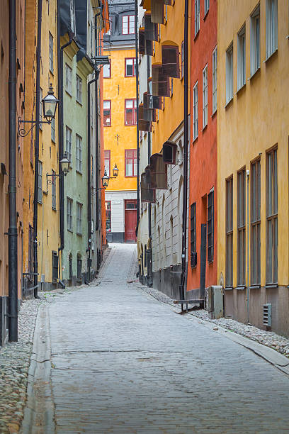 istock Colorful rustic Alley with Cobblestone road with a surrealistic 533847074