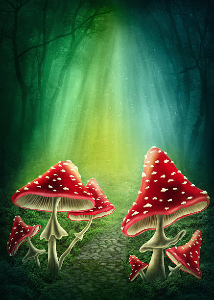 zaklęta ciemny las - vertical meadow mushroom vegetable stock illustrations