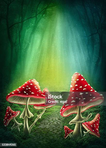 Enchanted Dark Forest Stock Illustration - Download Image Now - Edible Mushroom, Mushroom, Fairy Tale