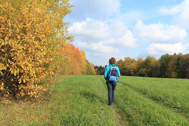 a mulher em passeio - autumn street single lane road tree imagens e fotografias de stock