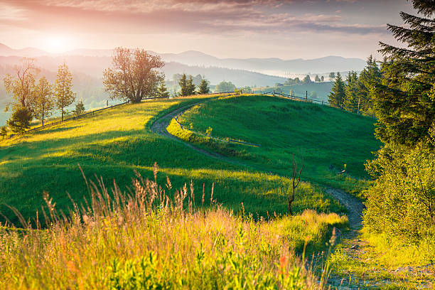 istock Colorful summer sunrise in the mountains 533851887