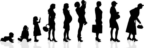 Vector silhouette generation women. Vector silhouette generation women on a white background. growth silhouettes stock illustrations