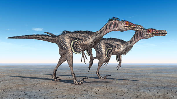 Dinosaur Velociraptor stock photo