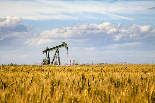 Lone Oil Pumpjack Amidst A Field of Golden Wheat An oil pump looms overs a crop of wheat in Bakersfield, California, where the agricultural production of the Central Valley is often in close proximity with petroleum deposits. oil pump photos stock pictures, royalty-free photos & images
