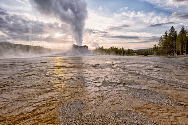 istock Castle Geyser, Yellowstone NP 533856050