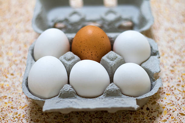 istock Six Eggs in Gray Carboard Carton; Five White, One Brown 533856232