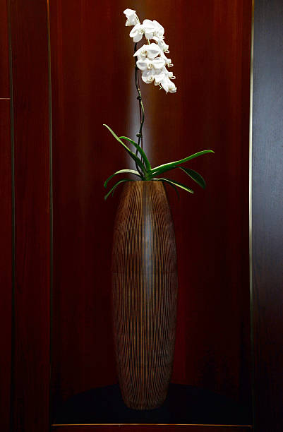 istock modern design claypot with white orchid 533857422