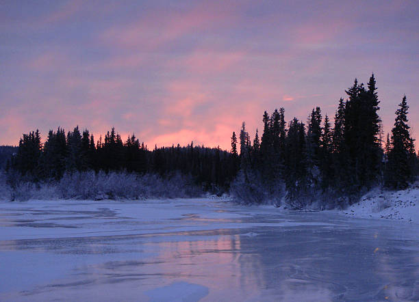 istock Down at frozen forest and lake landscape 533859630