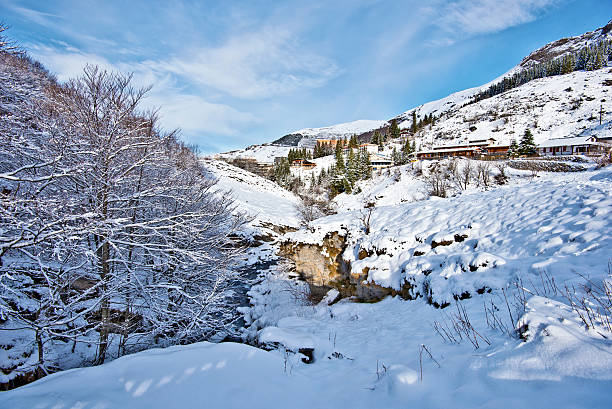 istock Winter Landscape around Gourette mountain village 533863094