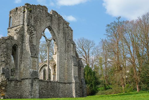 Cathedral Ruins at Netley Abbey