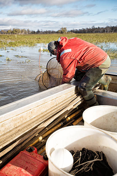 enguia fisherman - eel trap - fotografias e filmes do acervo