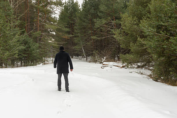 istock Lonely wanderer on the edge of winter forest 533875637