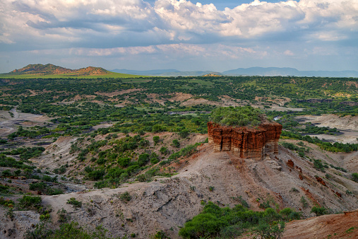 Olduvai Gorge is a cradle of mankind, Tanzania, Africa