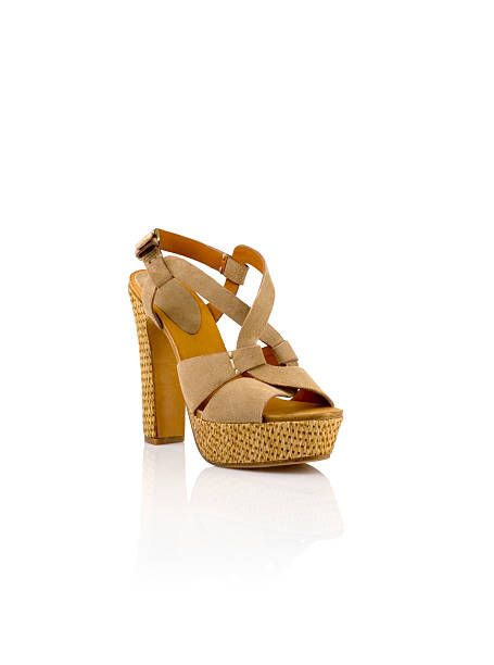 istock Womens fashion shoes 533888723