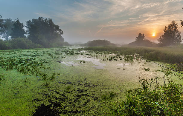 istock Landscape, sunny dawn, sunrays in fog 533890135