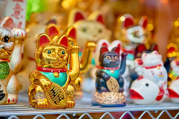Several traditional Japanese waving cats, with a golden one in focus and the others in the blurred background.
