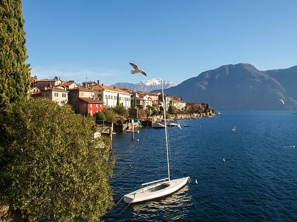 istock Sala Comacina. Seagulls fly between the shore and lake 533890933