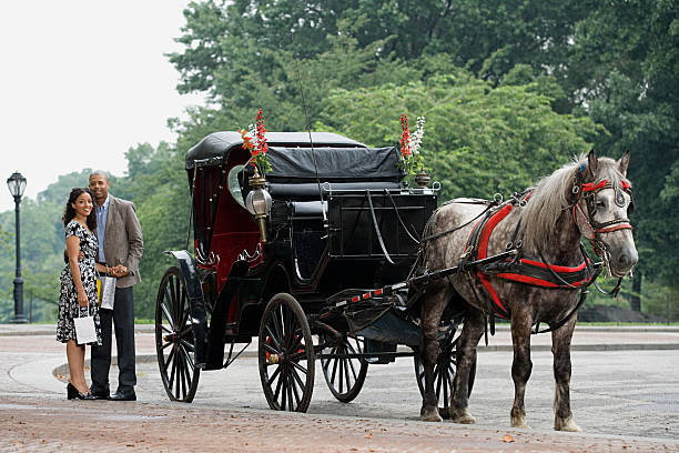 istock Couple stood next to horse drawn carriage 533892031