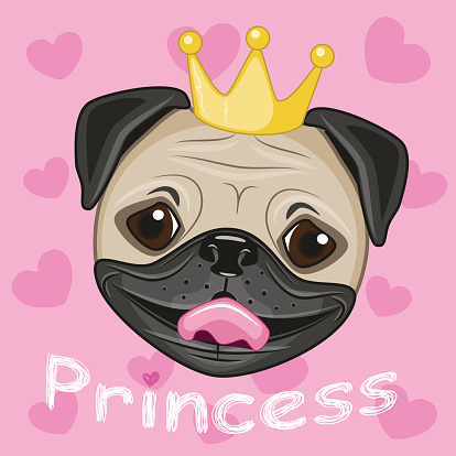 Princess Pug Dog