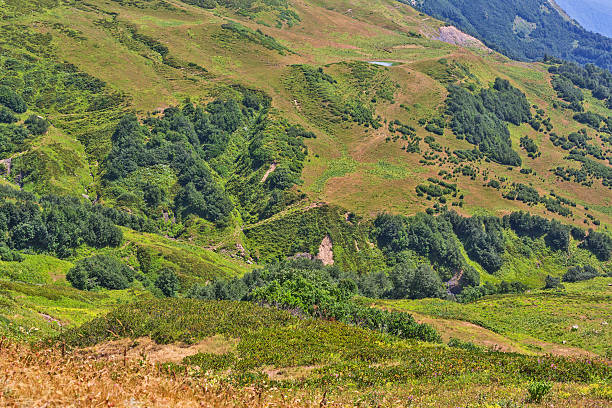 istock Highland view at sunny day 533894900
