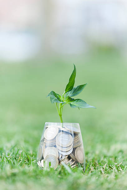 istock Coins and seed in clear glass on on grass 533895612