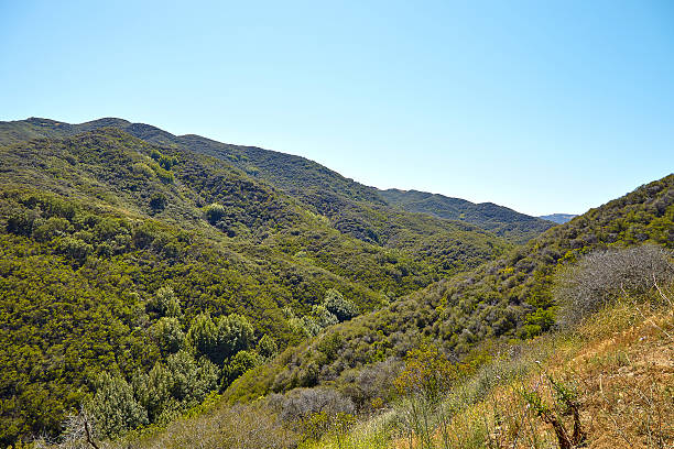 istock Panoramic view of meadows, hills and sky in Malibu 533898098