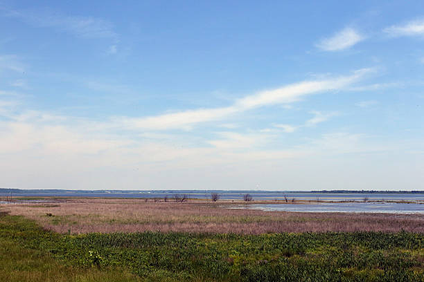 istock Emiquon National Wildlife Refuge 533898418