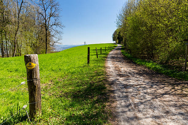 Hiking trail on Mountain Heitersberg, Aargau, Switzerland