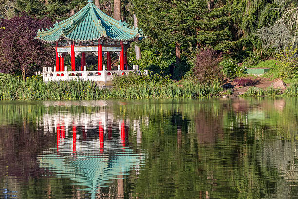 istock Chinese Pavilion in golden gate park 533904054
