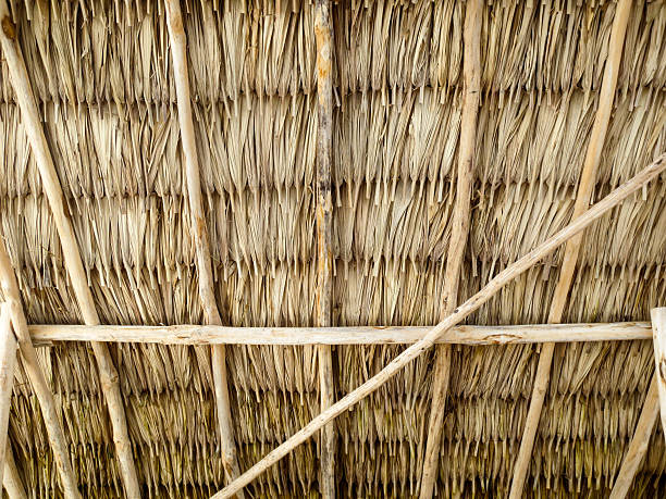 istock Interior of a large thatched roof 533904184