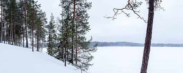 Winter landscape stock photo