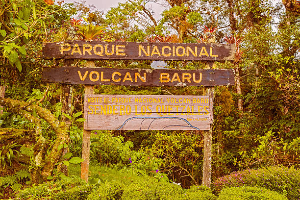 볼칸 바루 국립공원 로그인 파나마. - baru 뉴스 사진 이미지
