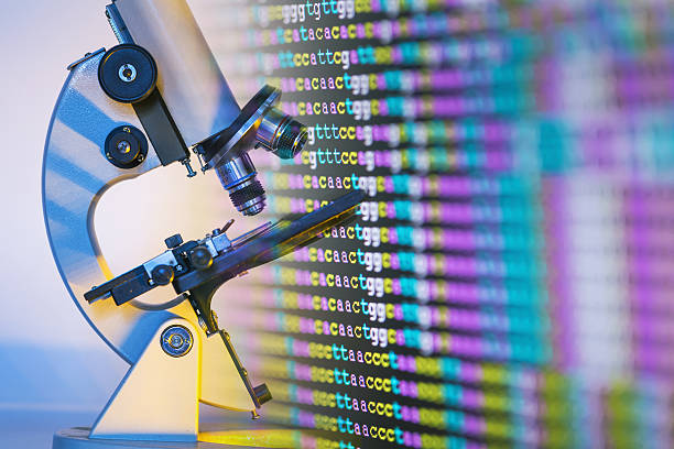 color coded DNA sequence on monitor with microscope stock photo