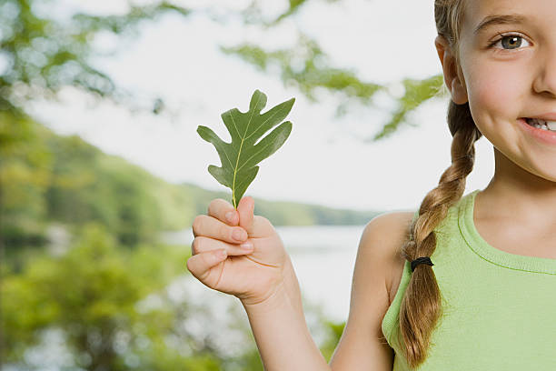 istock Girl holding a leaf 533906711
