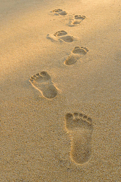 istock Footprints on the beach at sunset. Selcetive focus 533906968