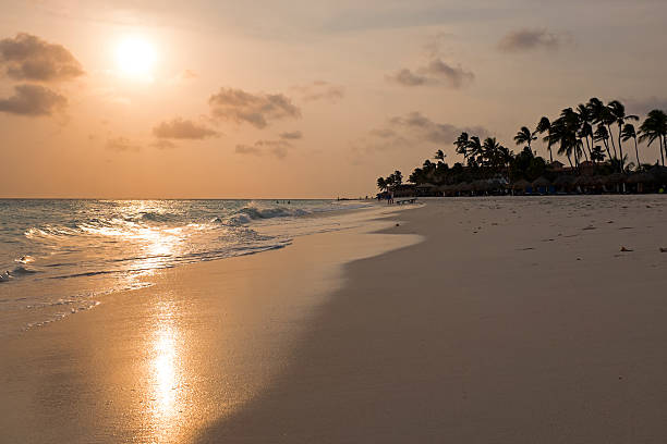 istock Manchebo beach on Aruba island at sunset 533907910