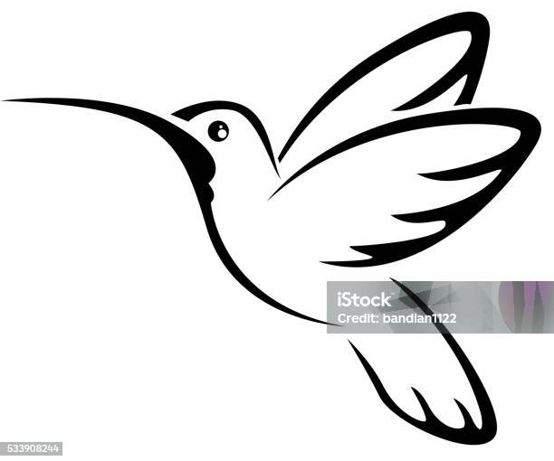 Tattoo Hummingbird For You Design Stock Illustration - Download Image Now - Hummingbird, Vector, Bird