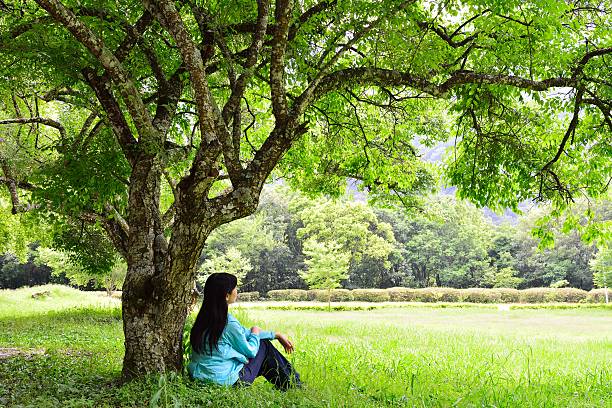 istock Woman sat on grassplot and in the shade of tree 533908274