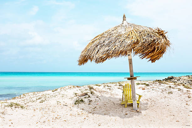 istock Grass umbrella at the beach on Aruba island  ] 533908892