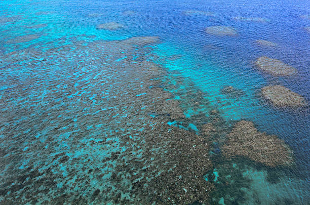 istock Aerial Moore coral reefs Great Barrier Reef Queensland 533909218