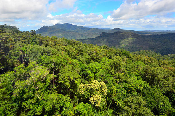 istock Barron Gorge National Park in Queensland Australia 533909670