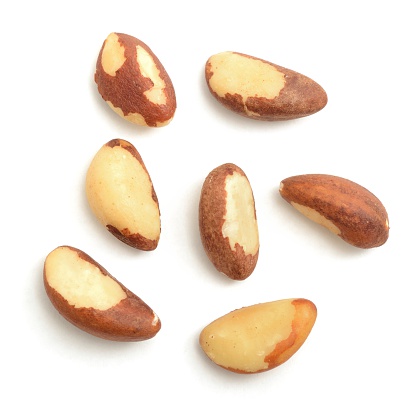 Brazil nuts isolted on a white background.