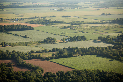 Aerial view of a generic farms in the Midwest. Specifically, Indiana, USA. Corn, wheat, and soybean crops growing. Cops space. Divided land with trees.
