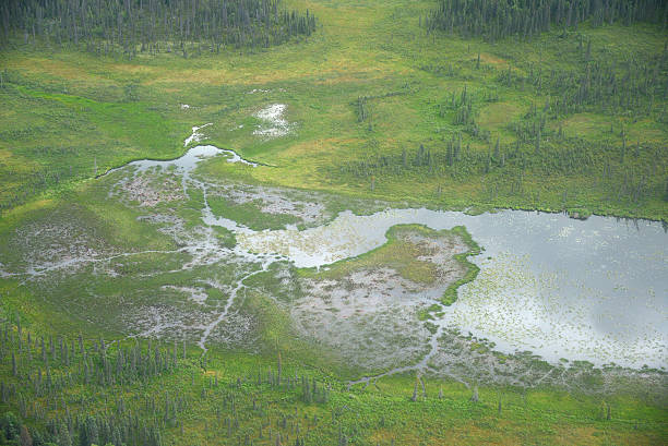 alaska aerial view - katmai peninsula imagens e fotografias de stock