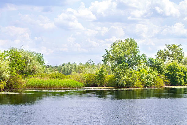 landscape river dnieper marshes and kherson - artex imagens e fotografias de stock