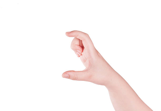 istock Beautiful woman hand holding isolated 533913822