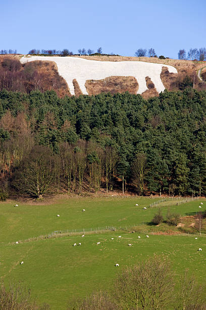 istock White Horse at Kilburn - Yorkshire - Great Britain 533914366